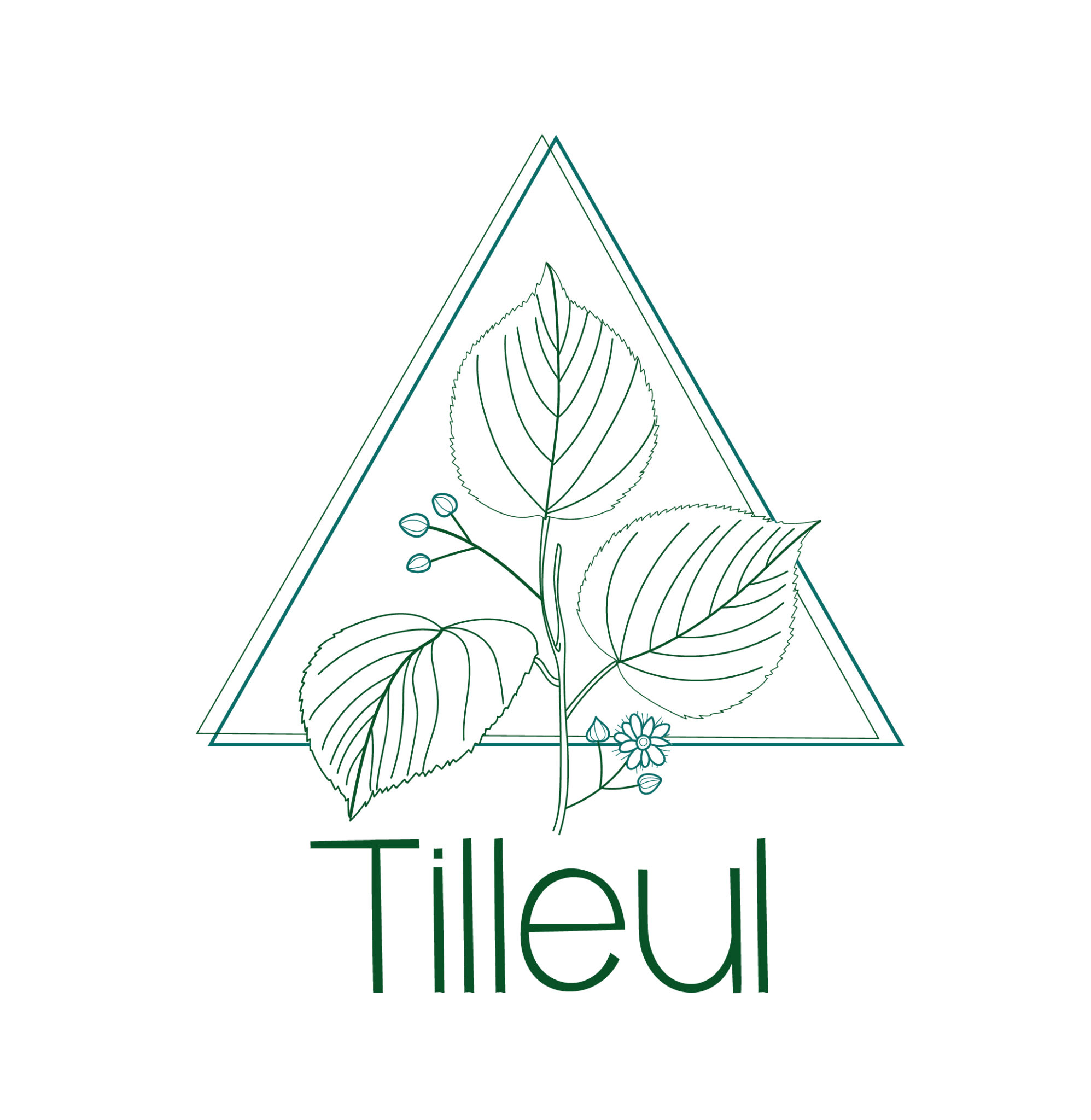 logo tilleul réalisé par margot huguet