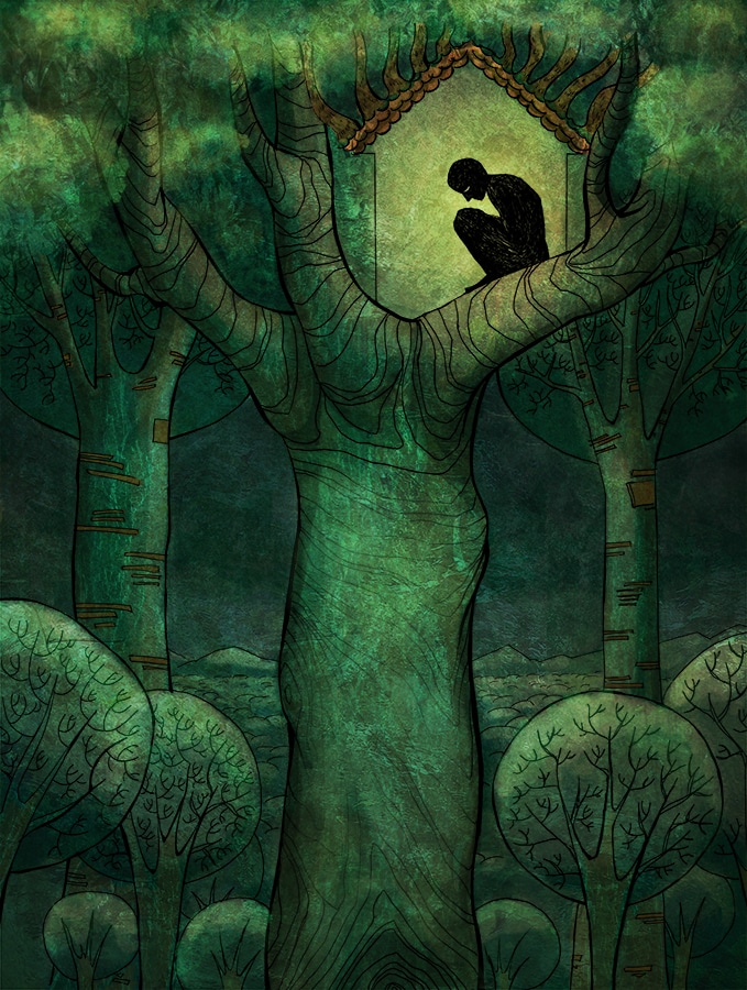 CABANE ARBRE CABANE ARBRE