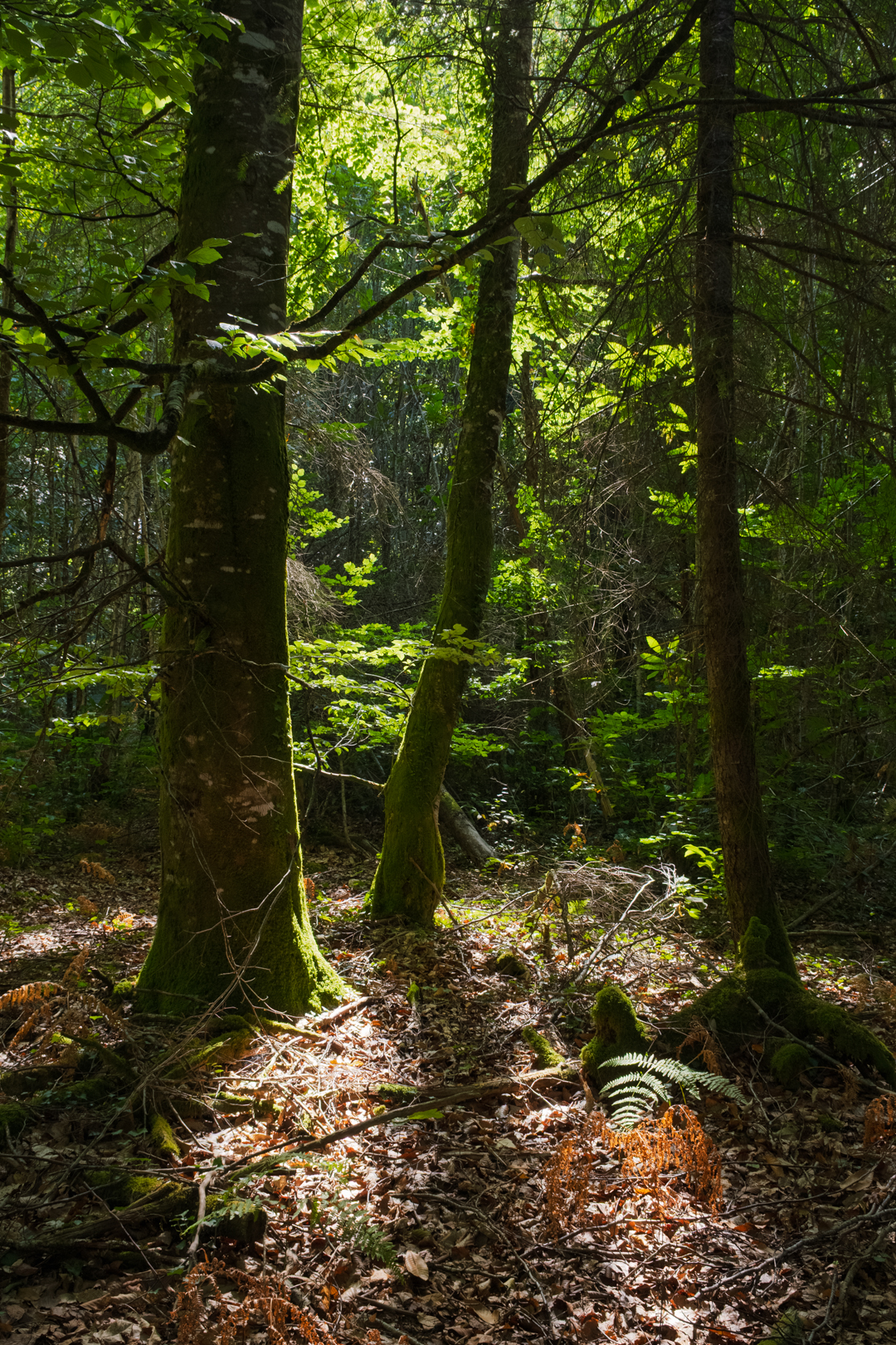 I&C #3 Ken Lecoq stage créativité et introspection 2025