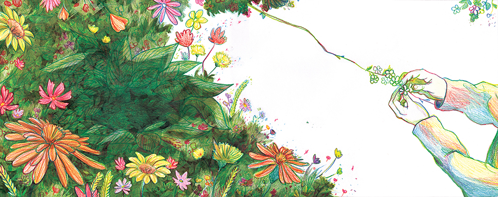 Planche 8 – page 15-16 WEB cueillette de fleurs sauvages par siwa, livre jeunesse illustré par margot huguet