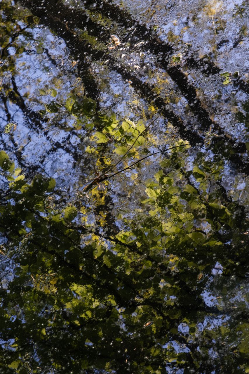 photo_2024-07-10_17-50-43 stage créativité et introspection 2023