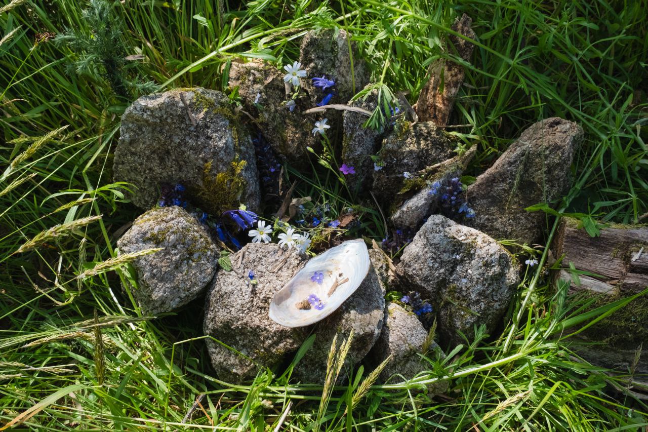 photo_2024-07-10_17-51-52 stage créativité et introspection 2023