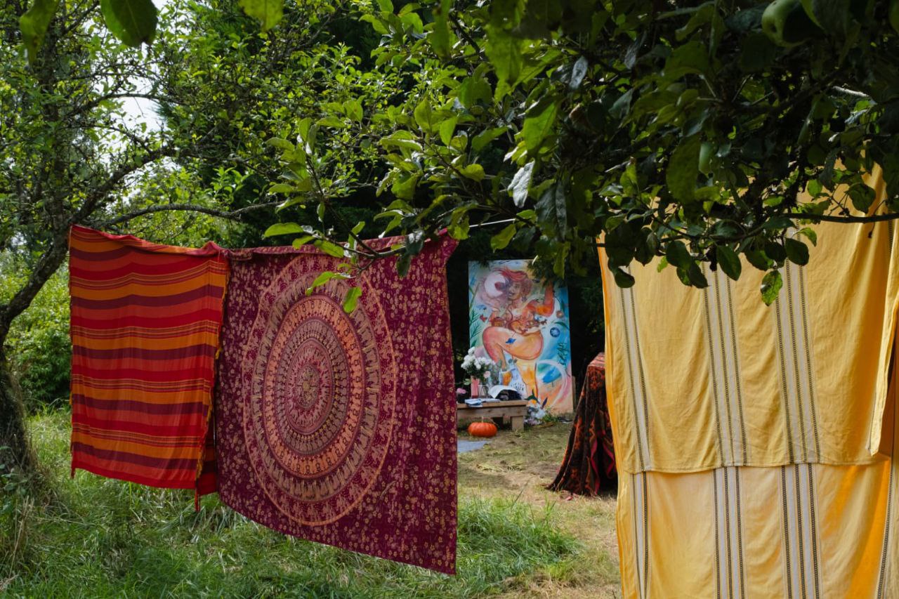 photo_2025-11-19_17-54-57 (2) chaos stage 2024