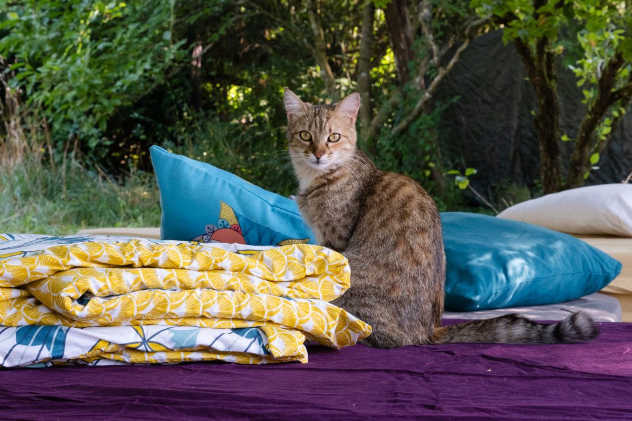 photo_2025-11-19_17-55-00 (2) chaos stage 2024